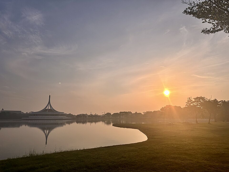 The Tree Pattanakarn Ekkamai